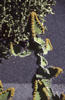Image 172 (c) 2003 martina + koppi
