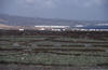 Image 185 (c) 2003 martina + koppi