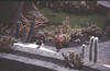 Image 188 (c) 2003 martina + koppi