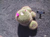 Image 197 (c) 2003 martina + koppi