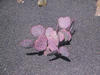 Image 209 (c) 2003 martina + koppi