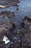 Image 219 (c) 2003 martina + koppi