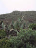 Image 242 (c) 2003 martina + koppi